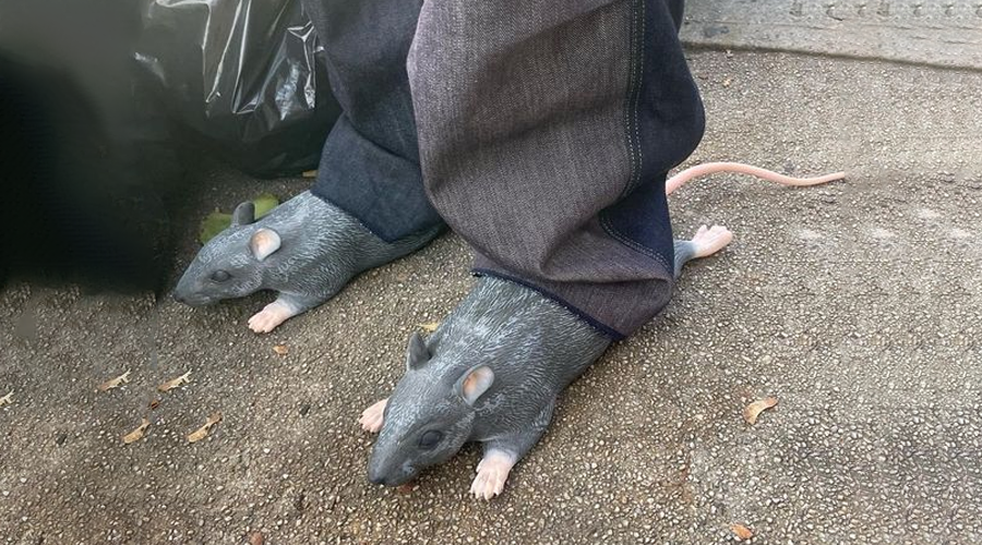 Rat slippers sale for sale